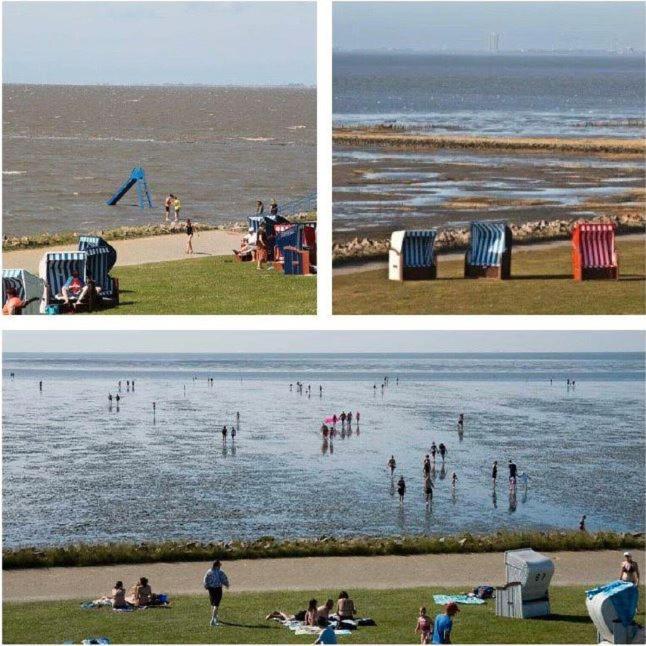 Deichwohnung Strandweg 7 Friedrichskoog-Spitze Eksteriør billede